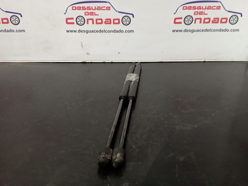 AMORTIGUADORES MALETERO / PORTON