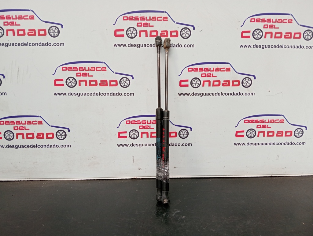 AMORTIGUADORES MALETERO / PORTON