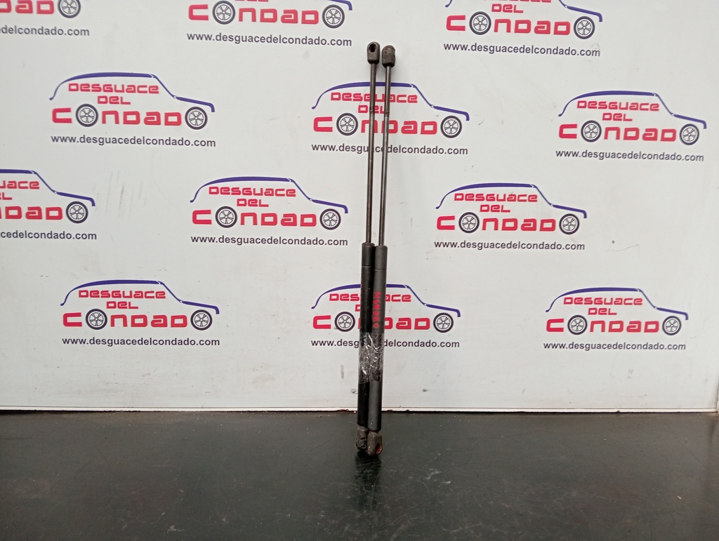 AMORTIGUADORES MALETERO / PORTON