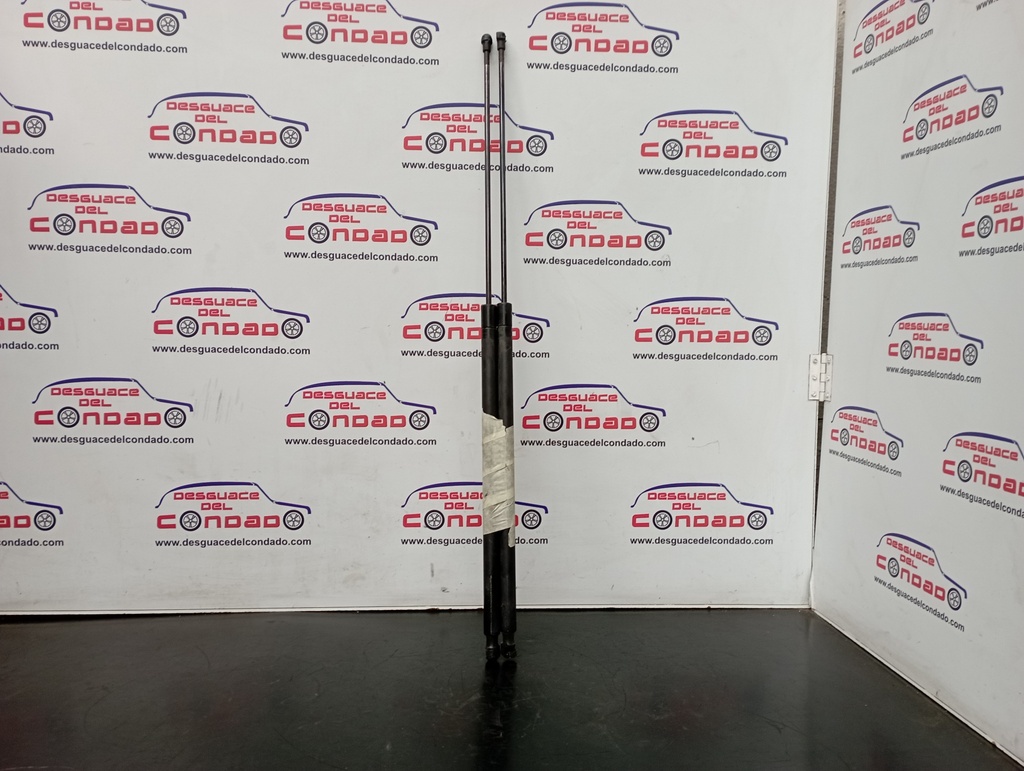 AMORTIGUADORES MALETERO / PORTON