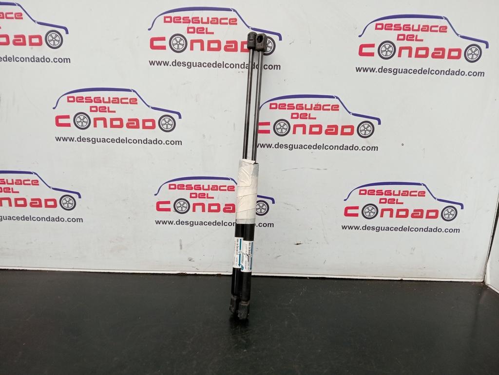 AMORTIGUADORES MALETERO / PORTON