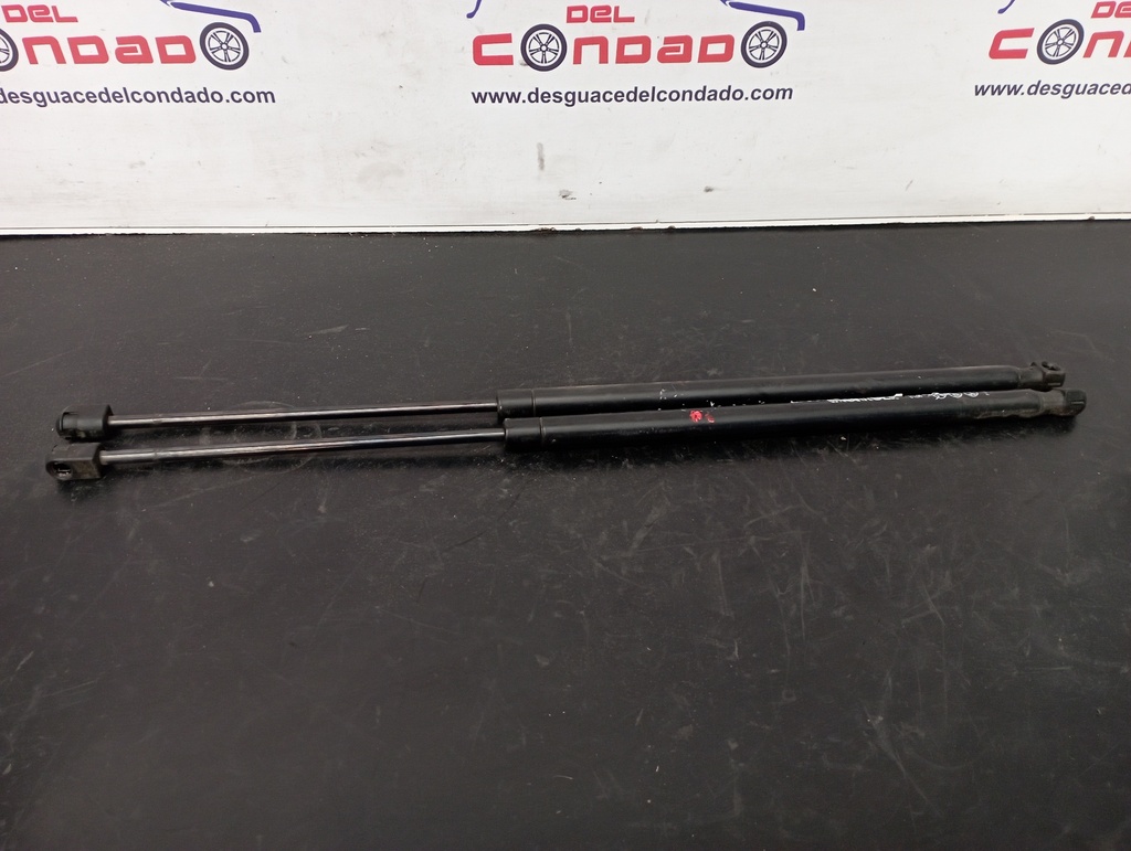 AMORTIGUADORES MALETERO / PORTON