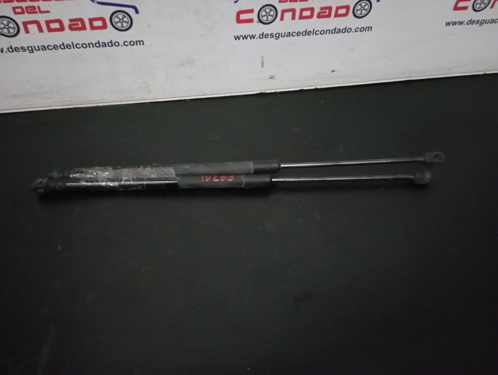 AMORTIGUADORES MALETERO / PORTON