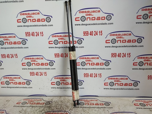 [105559] AMORTIGUADORES MALETERO / PORTON