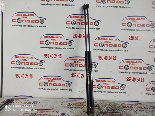 [109595] AMORTIGUADORES MALETERO / PORTON