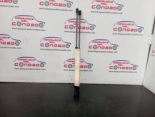 [142804] AMORTIGUADORES MALETERO / PORTON