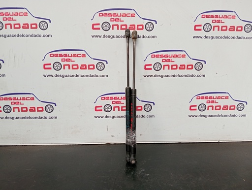 [144953] AMORTIGUADORES MALETERO / PORTON