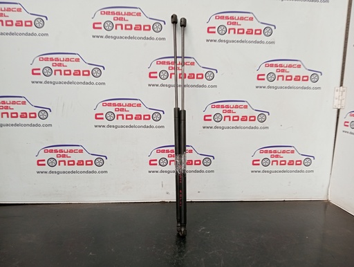 [149955] AMORTIGUADORES MALETERO / PORTON