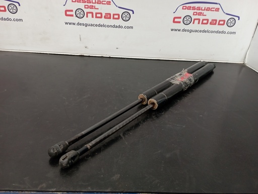 [182049] AMORTIGUADORES MALETERO / PORTON