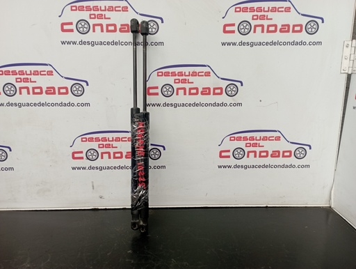 [130634] AMORTIGUADORES MALETERO / PORTON