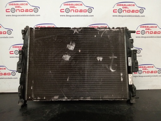 [198055] RADIADOR AGUA